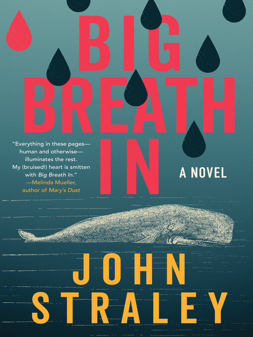 Cover image for Big Breath In